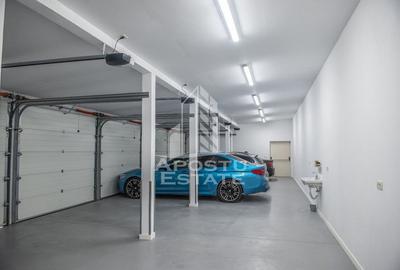 Casă cu 5 camere cu Piscina în Pișchia - 14