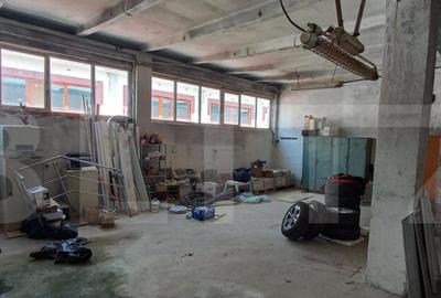 Spatiu industrial, hale in Unirea - 4