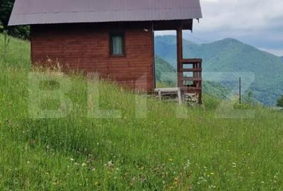 Casă cu 3 camere cu Teren 2330 Mp în Mărișel - 9