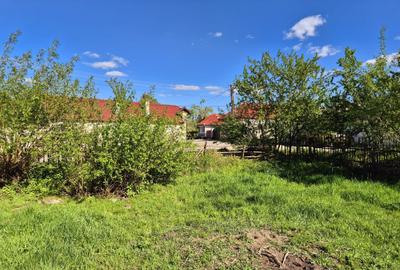 Comision 0 %/ Teren intravilan Sercaita 2247 mp Comision 0 %/ Teren intravilan Sercaita 2247 mp - 8