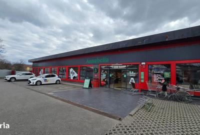 Spațiu comercial, de 910 mp, în Minieri - 5