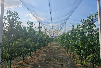 Spațiu comercial, de 100,000 mp, în Vest - 2