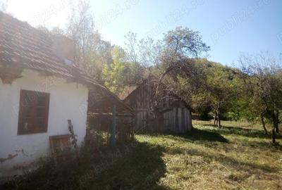 Casă cu 3 camere în Hălmagiu - 5