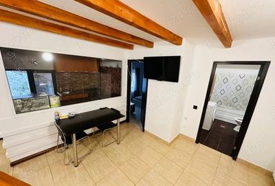 Dimtrie leonida studio dubla - 1