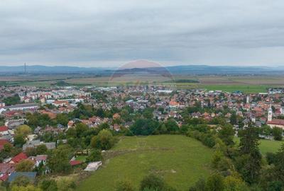 Proiect autorizat (AC) pentru constructia a 2 vile indivi... - 6