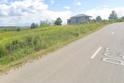 Teren de vanzare in Paleu - Saldabagiu la asfalt, gaze si electricitate - 1