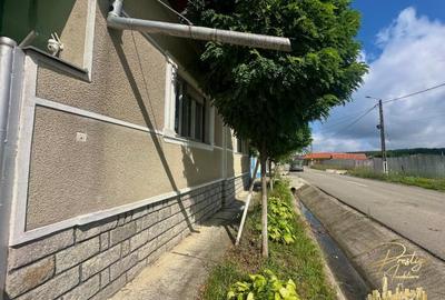 Casa cu anexe si teren de 959 mp de vanzare in Tinca - Bihor - 44