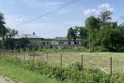 Casă cu 3 camere cu Teren 2600 Mp în Central - 9