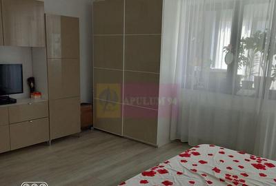 Vanzare apartament 2 camere Fundeni-Dobroesti - 2