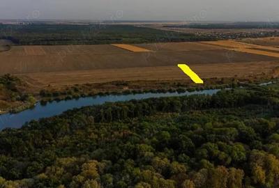 Teren de 4700 mp, în Gruiu - 1