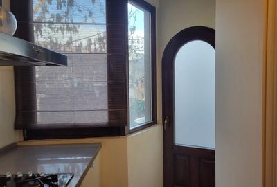 Spatiu birou/clinica, parter, demisol, curte-Comision 0% - 16