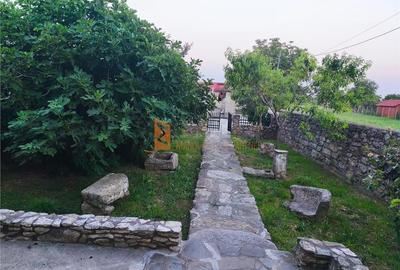 Casa tip parter zona Dealul Viei - 10
