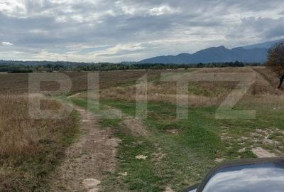 Teren de vanzare in Rasnov zona Glejerie, 10.000 mp - 6