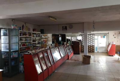 Spațiu comercial, de 130 mp, în Vișina - 3
