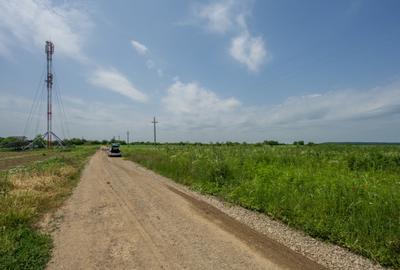 BALOTESTI - SAFTICA, TEREN INTRAVILAN 500 MP, DESCHIDERE 21 - 11