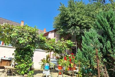 Casa 3 camere, 129mp, zona Viisoara , teren 1240mp - 16