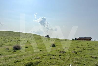 Teren Construcții intravilan de 1003 mp, în Păltiniș - 5