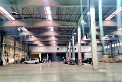 Hala industriala 6000mp, curent 1MW, Timisoara Vest - 4