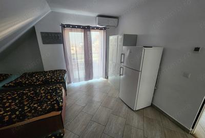 Casă cu 2 camere în Sânandrei - 5