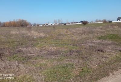 Teren Construcții intravilan de 465 mp, în Berceni - 2