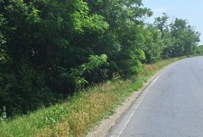 Butimanu Teren Intravilan Utilitati OFERTA - 5