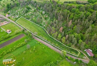 FILM! Teren intravilan, 6.500 mp, Papauti, Covasna - 4