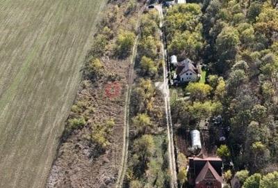 Snagov padure - Teren intravilan cu PUZ aprobat - 1