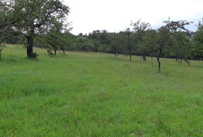 Spațiu comercial, în Bran - 7