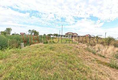 Dumbrava - Ciupelnita - str Principala - Vila 4 camere P+E - TEREN 1020MP - 2