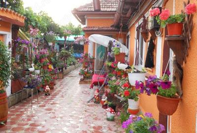 Casă cu 1 camere în Casa de Cultură - 1