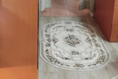 Apartament cu 3 camere semidecomandat, mobilat în Brâncoveanu - 4