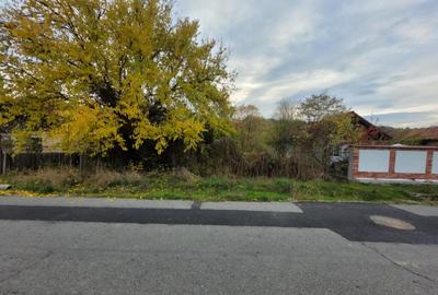 Teren intravilan, 4967 mp, utilita?i, sat Rasova, Bale? - 2