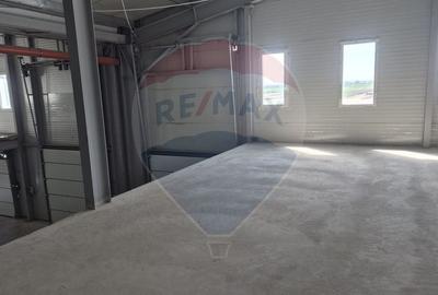 Spațiu industrial, de 2,645 mp, în Balotești - 11