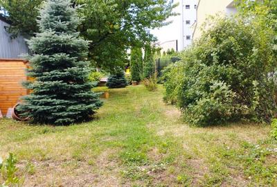 Casă individuală cu 6 camere cu Teren 1200 Mp în Gruia - 8