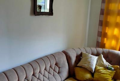 Apartament cu 2 camere în Moldova Nouă - 3