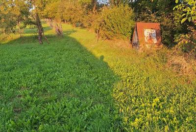 Teren de 29463 mp, în Vătava - 2