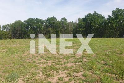 Teren de vanzare in Babana, zona Grosi - 5