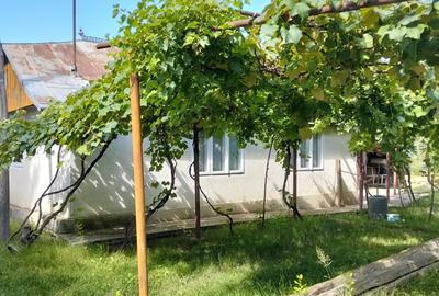 Vand Casa