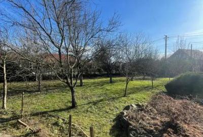 Casă cu 7 camere cu Teren 2544 Mp în Cicârlău - 8
