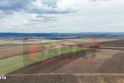 Spațiu comercial, în Șura Mică - 7