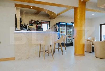 Spațiu comercial, de 1,176 mp, în Arieșeni - 13