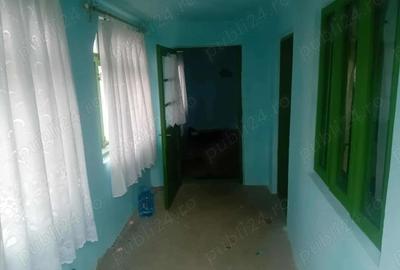 Casa Bodesti 50mp 2 camere bucataria anexe la sosea cu 1500mp teren lumina ,fintina cu apa - 9