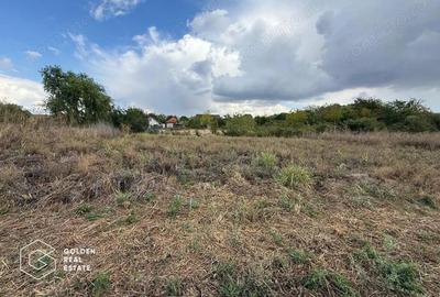 Teren intravilan 538 mp, curti constructii, Sacalaz, Tims - 2