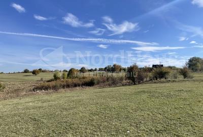 Teren agricol intravilan de 842 mp, în Rășinari - 4