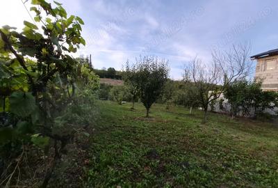 Vand casa la Dumbrava unirea Alba - 2