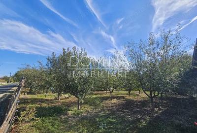 Vanzare teren *intravilan 308 mp cu utilita?i* - Sat Ceauru, Comuna Bale?ti - 2