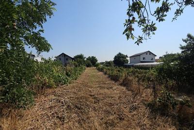 Vanzare teren Clinceni strada Principala Vanzare teren Clinceni strada Principala - 3