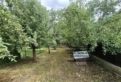 Proprietate D-va Rosie, pretabila pentru activitati economice/locuit - 1