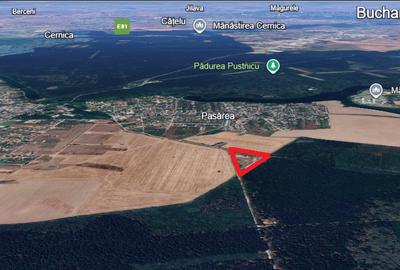 Teren Intravilan 20.500 mp > Brănești Ilfov > Împrejmuit + Utilități Complete - 1