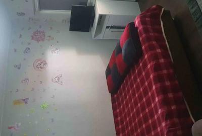 Apartament cu 2 camere decomandat în Central - 5